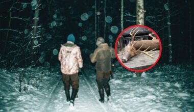 3 Upstate New York Hunters Caught Poaching Trophy Deer