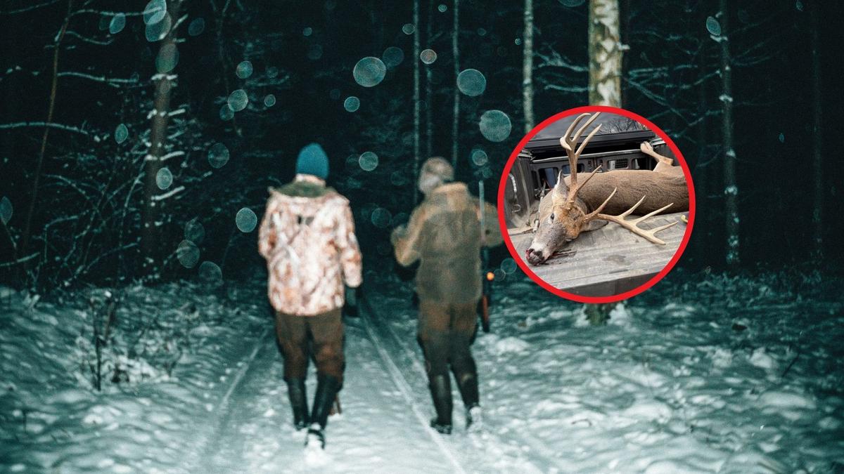 3 Upstate New York Hunters Caught Poaching Trophy Deer