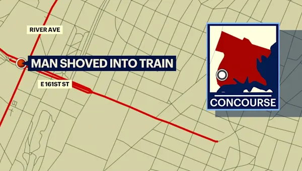 Man standing on platform shoved into moving train in The Bronx