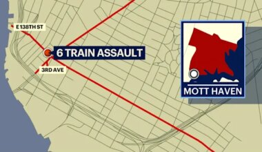 News 12 | Brooklyn | Brooklyn man arrested for spitting at MTA employee, injuring 2 police officers aboard 6 train in Mott Haven