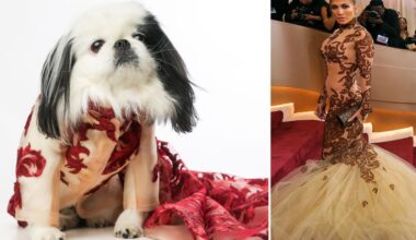 NYC dogs recreate celeb looks from the Golden Globes red carpet at first ever 'Golden Paws'