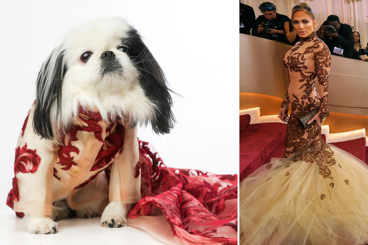 NYC dogs recreate celeb looks from the Golden Globes red carpet at first ever 'Golden Paws'