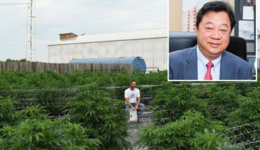 Deadly Oklahoma weed shootings expose network tied to New York money, China: report