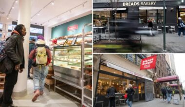 Breads Bakery workers unionize against Jewish owners 'genocide in Palestine'