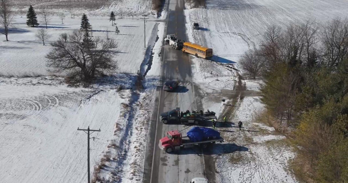 Driver killed in crash with school bus near Manhattan, Illinois, identified