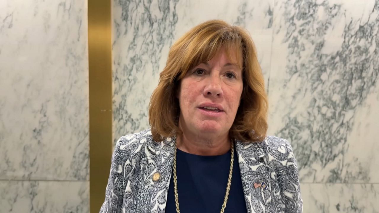 assemblywoman marianne buttenschon speaks in a hallway in Albany