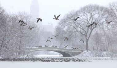 Believe it or not, you can bet on NYC snowfall totals. Here's how