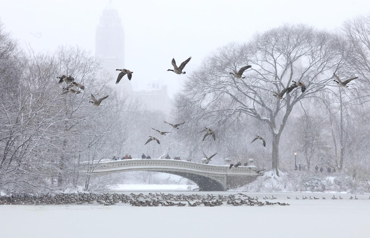 Believe it or not, you can bet on NYC snowfall totals. Here's how