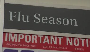 News 12 | Westchester | New York seeks slight decline in flu cases, CDC warns flu activity has not peaked