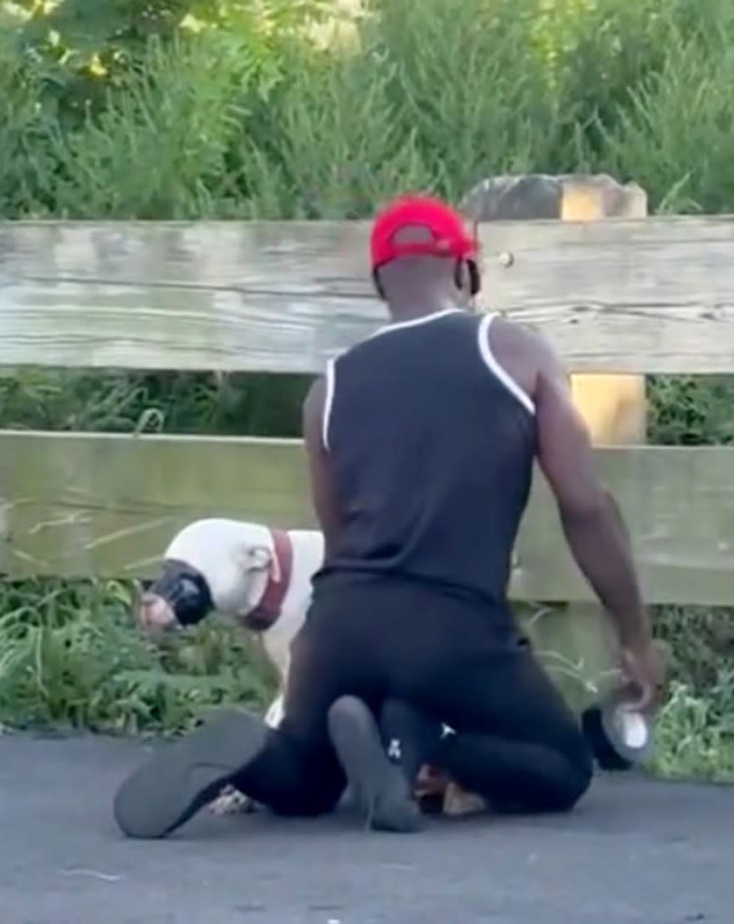 Fyffe allegedly blamed a “Karen” for calling authorities on him after witnesses saw the duct-taped dog, authorities said. Reshma Krishnadat/Facebook