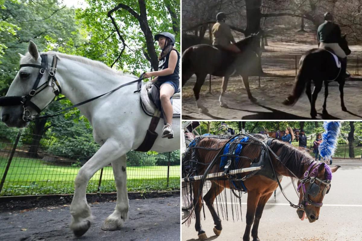 Horseback riding coming back to Central Park — even as activists work to get carriage rides banned