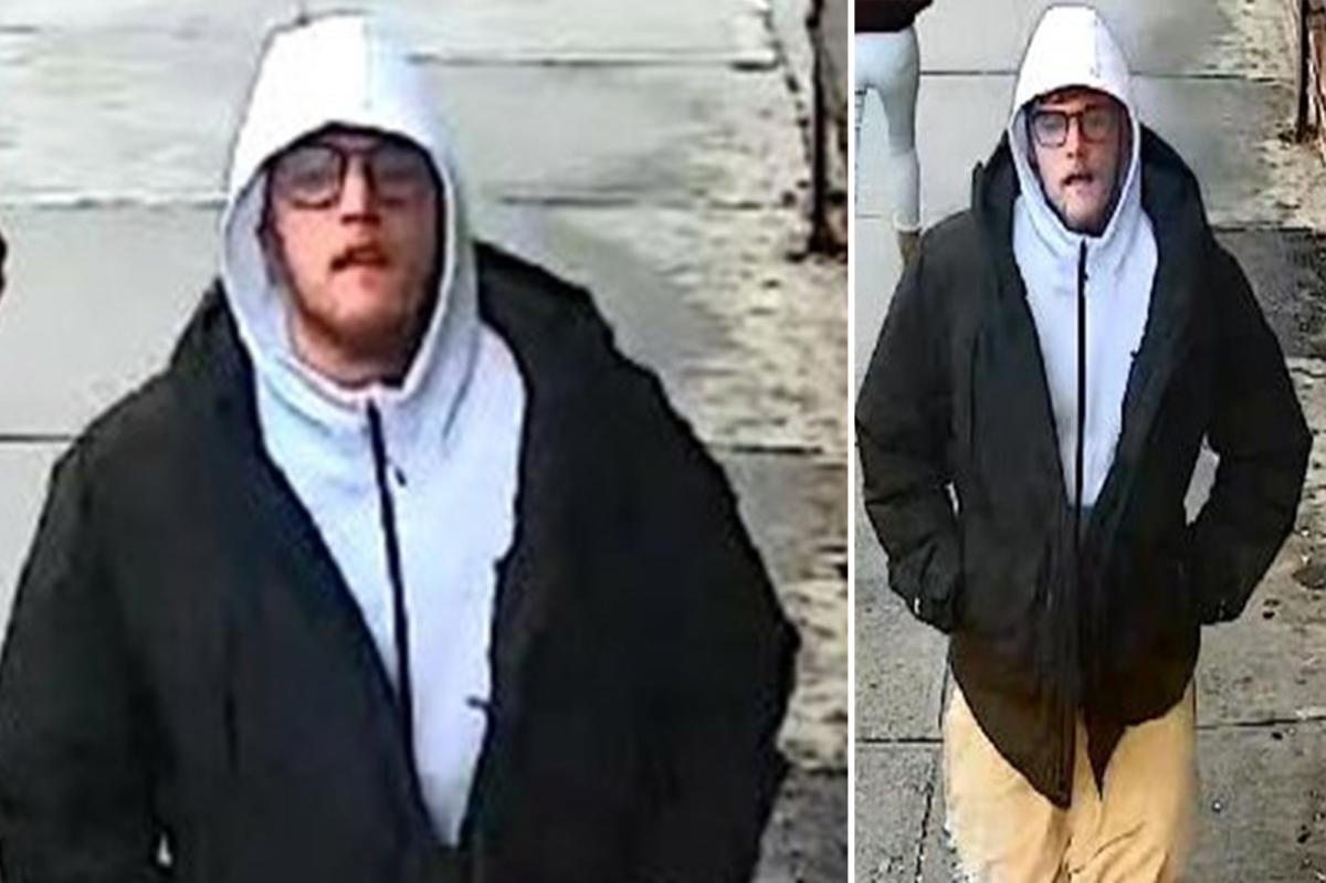 NYC brute arrested for randomly bashing man, 71, with shovel -- days after stealing ribeye steak: cops