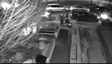 News 12 | Brooklyn | Bicyclist caught on video fleeing with stolen package, moments after stealing nearby e-scooter in Crown Heights