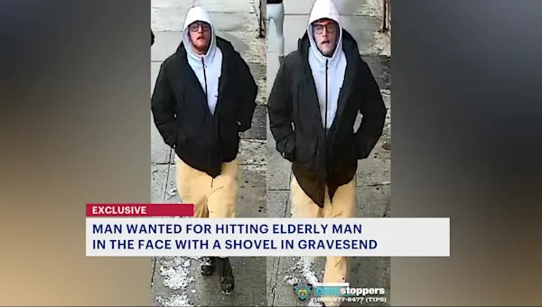 71-year-old man struck with a shovel in Gravesend, suspect still at large