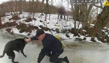 New York troopers rescue dog from icy canal in Little Falls