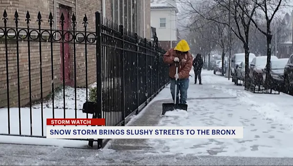 News 12 | The Bronx