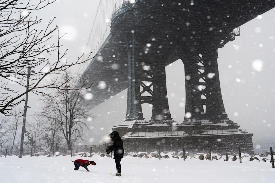 A person plays with a dog under the Manhattan Bridge in New York City, on Jan. 25, 2026. 