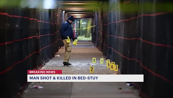 News 12 | Brooklyn | 26-year-old man fatally shot in Bed-Stuy