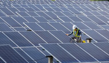 Sen. Harckham urges governor to back more solar energy