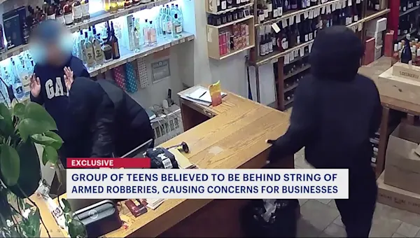 News 12 | Brooklyn | Group of teens believed to be behind string of armed robberies at Brooklyn small businesses