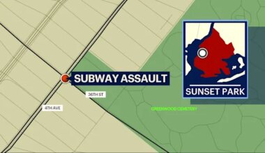 News 12 | Brooklyn | Homeless man arrested for shoving man onto subway tracks at 36th Street Station