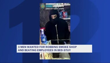 3 men wanted for robbing Bed-Stuy smoke shop, beating employees