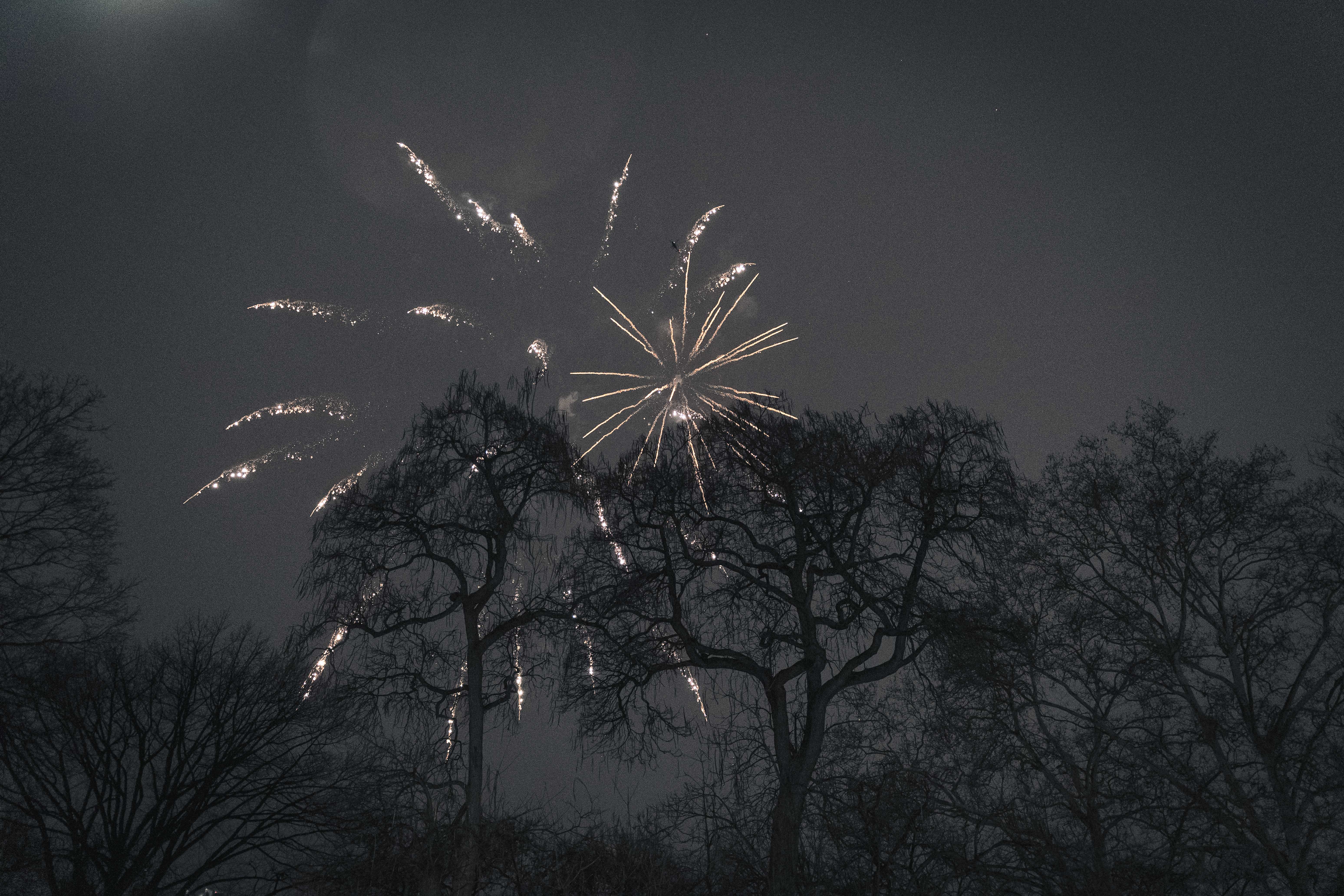 Fireworks dazzle the sky during the 4-mile race in Central Park.