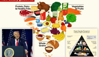 Trump admin 'turning food pyramid upside down' — pushing protein, fats