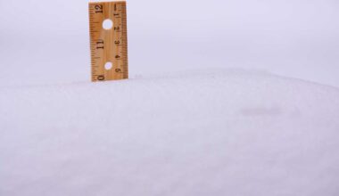 Snow totals in Northern New York for Jan. 5, 2026