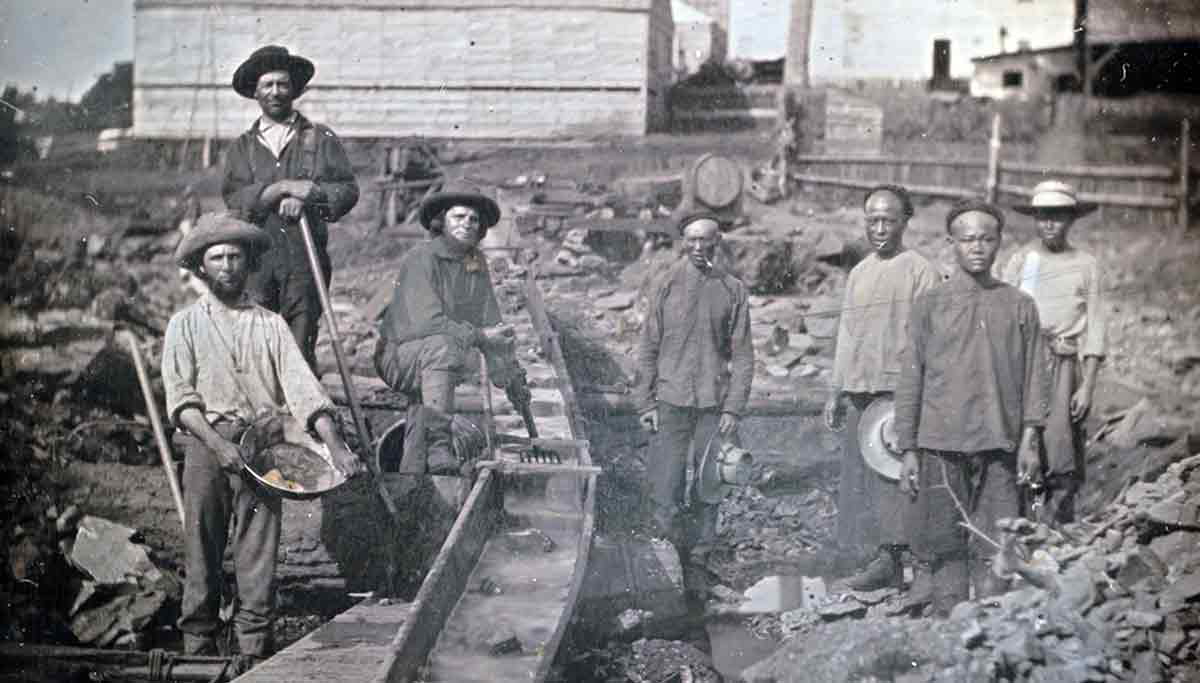 gold rush chinese