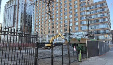 Golden Cicada Demolition