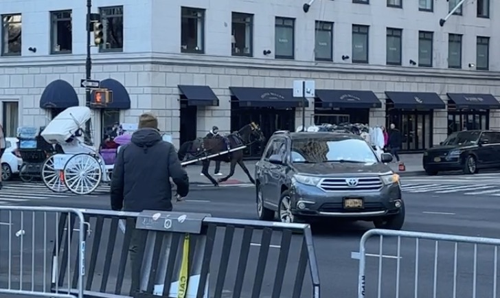 Horse-drawn carriage and SUV in a city street.