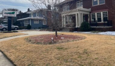 Winter storms freeze Queen's Feast