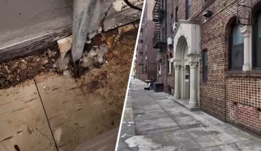 Top offenders have most violations ever – NBC New York