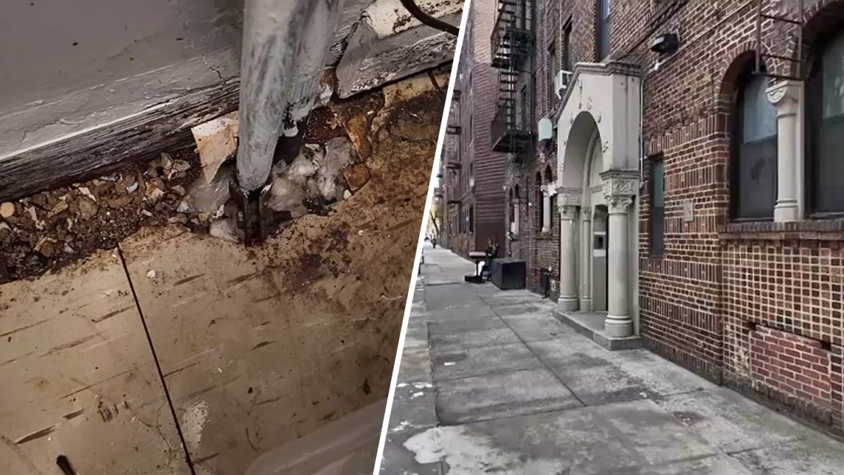 Top offenders have most violations ever – NBC New York