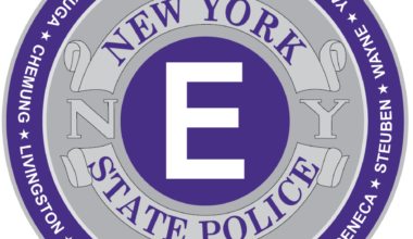 State Police arrest woman on stolen vehicle and fugitive charges in Wayne County