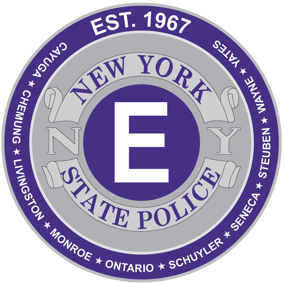 State Police arrest woman on stolen vehicle and fugitive charges in Wayne County