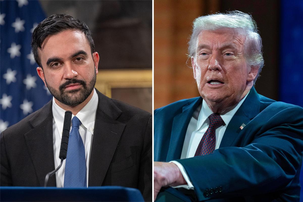 Zohran Mamdani borrows from DOGE playbook with cost-cutting team as NYC scrambles to fill $12B budget gap