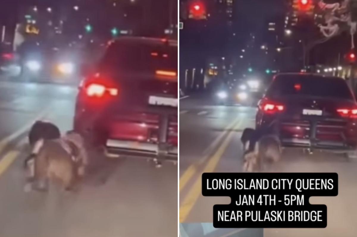 Monster drags 2 dogs behind car in NYC, disturbing video shows