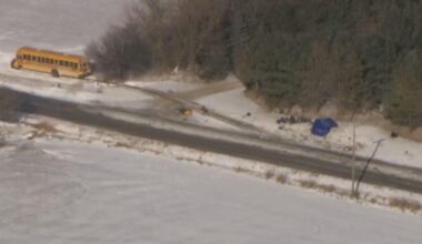 Driver killed, kids taken to hospital as car hits school bus near Manhattan, Illinois