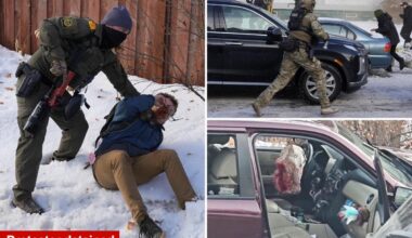 Federal agents involved in Minneapolis shooting amid massive ICE crackdown