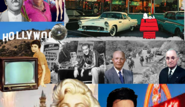 Costco Kitchen Towel.