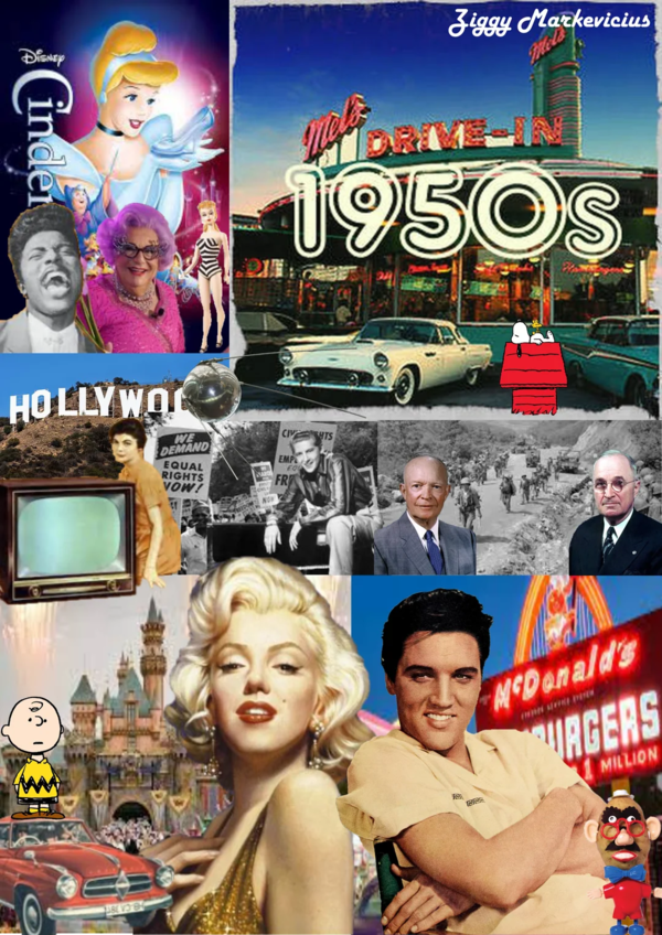 Costco Kitchen Towel.