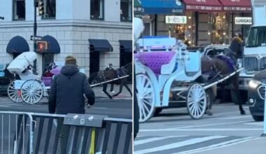 Wild video shows spooked NYC carriage horse running into Midtown traffic