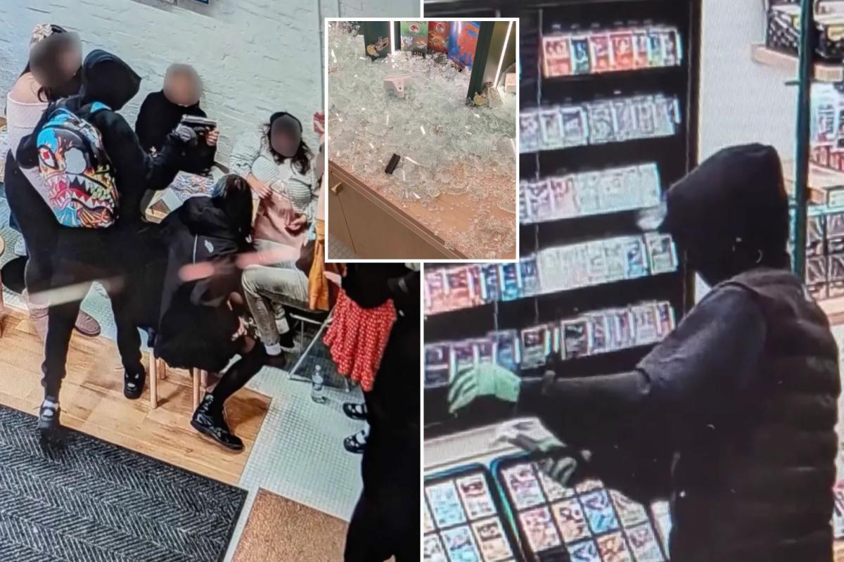 Brazen trio robs NYC Pokémon shop of $100K in rare trading cards during neighborhood gathering