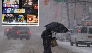 Potheads swarm cannabis shops before snowstorm