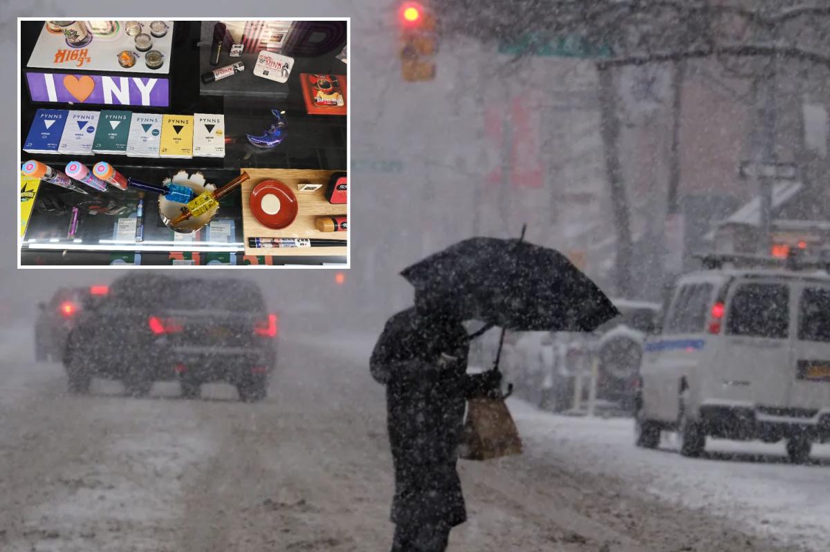 Potheads swarm cannabis shops before snowstorm
