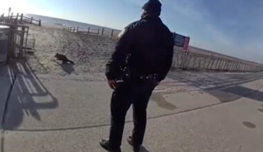 NYPD cop who shot 'vicious' raccoon on NYC boardwalk on modified duty