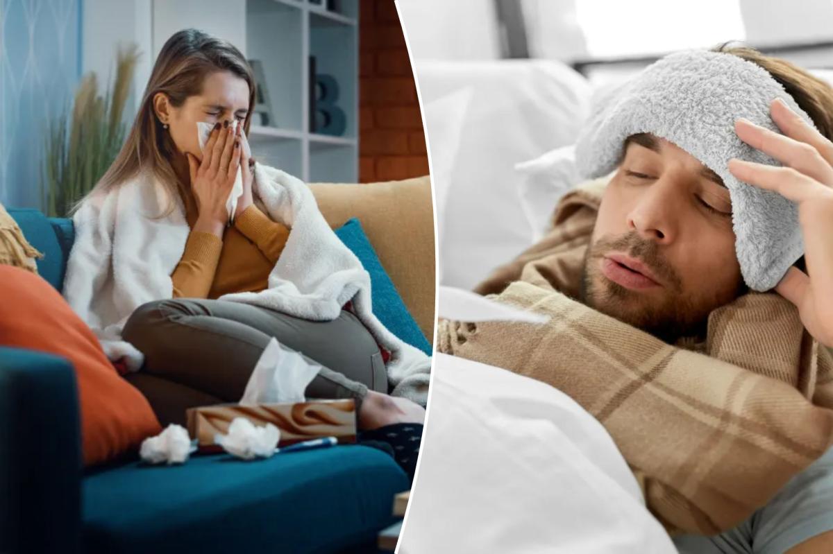 'Super flu' hits highest level in US in 25 years