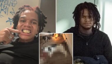 NYC wannabe rapper accused of torturing, killing stray cat indicted on animal cruelty charges: DA